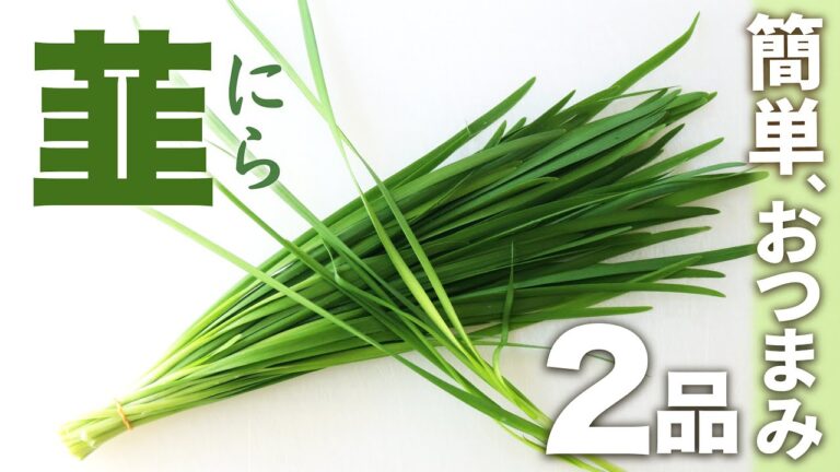 【お酒に合う！】ニラを使った簡単おつまみ2品【免疫力アップ！疲労回復】