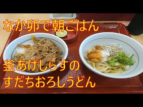 釜あげしらすのすだおろしうどん【なか卯】朝ごはん