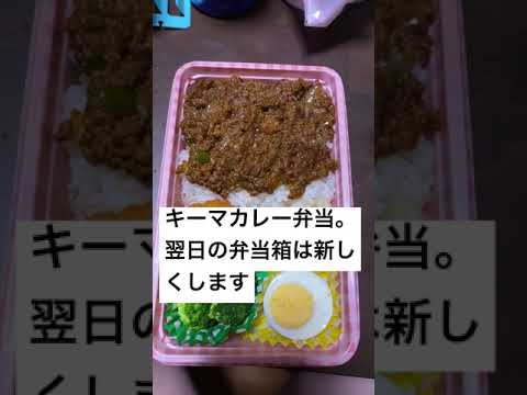 ドライキーマカレー弁当。弁当箱は翌日更新されます。#Shorts