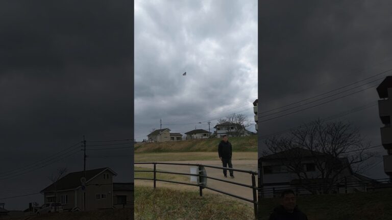 【閲覧注意】感電の瞬間
