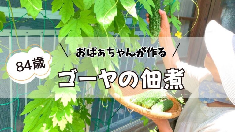 【80代vlog】苦くない！ゴーヤの佃煮 /  高血圧・糖尿病を予防する夏の常備菜