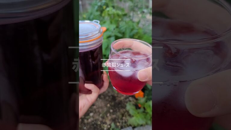 【大量消費】赤紫蘇ジュースは爽やかで美味しい