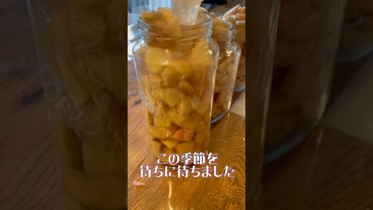 血液検査値が正常になる「新生姜の甘酢漬け」　#旬の野菜 #つくりおき #健康 #年寄り #酒の肴 #和食 #親孝行