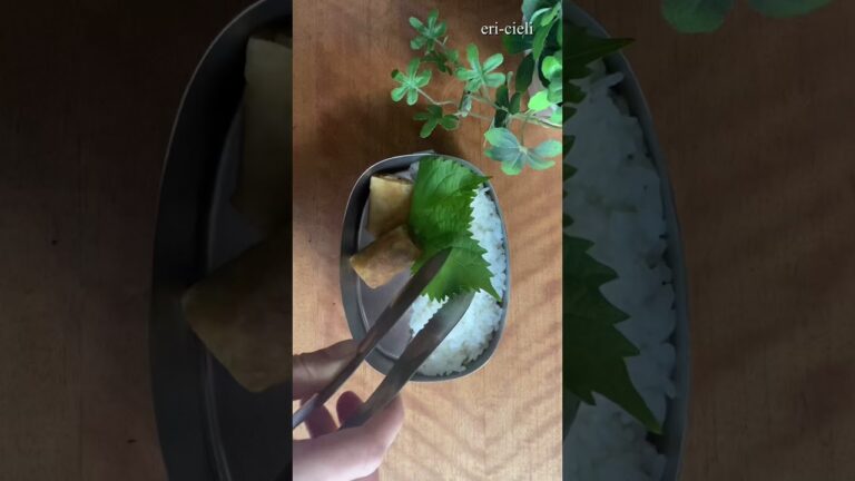 『お弁当の詰め方』春巻き弁当