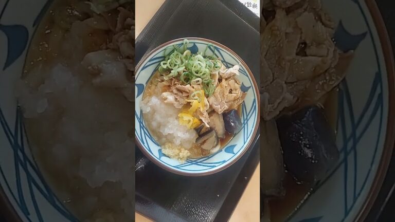 新製品☆丸亀製麺/鬼おろし豚しゃぶぶつっかけ  ¥740  猛夏にはあっさりしたうどんで食べやすかった。