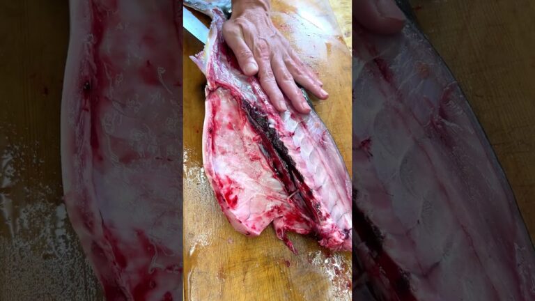 ハマチの刺身は最高 #shorts