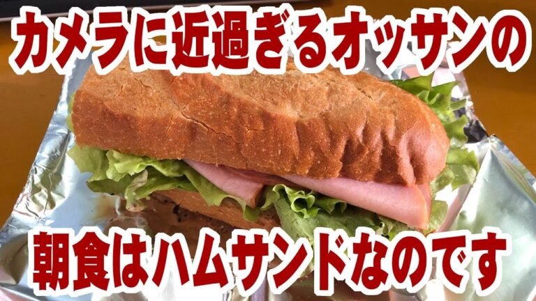 【閲覧注意】カメラに近過ぎるオッサンの朝食はハムサンドなのです【飯動画】