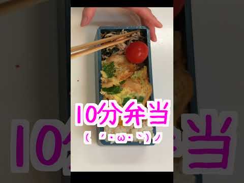 【 10分弁当 切り抜き 】親子丼弁当〜包丁もまな板もいらない 【 bento 】(314)