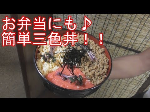 お弁当にも♪超簡単激うま三色丼！