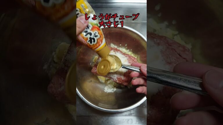 肉汁滴るショウロンポウ風ショウロンポウ‼️#shorts_ #shorts #ひき肉#餃子