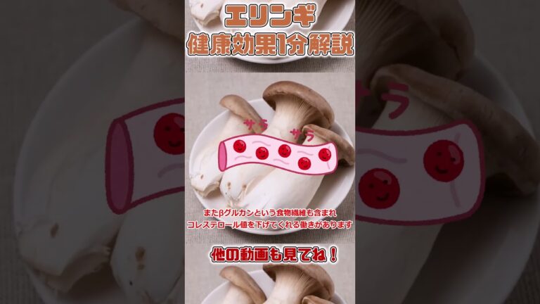 【ゆっくり解説】エリンギの栄養を1分で解説 #shorts