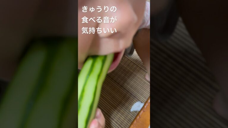 きゅうりを食べる音が気持ちいい。asmr