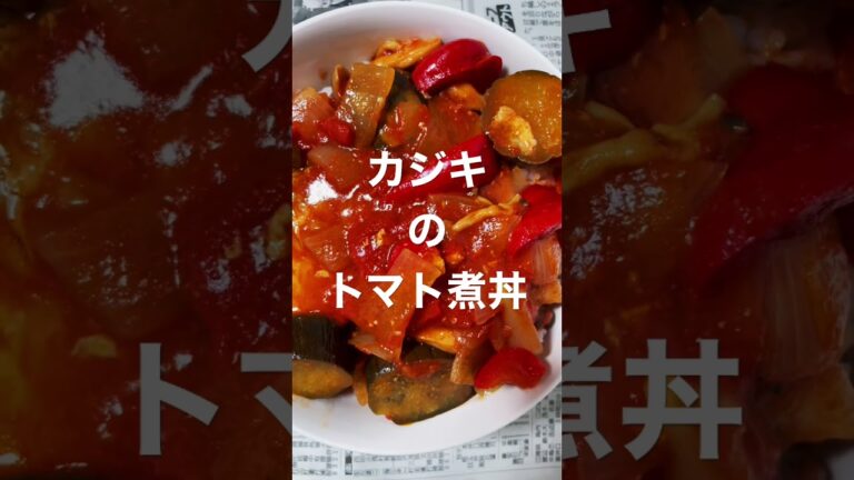 カジキのトマト煮丼