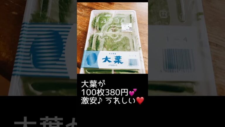 簡単レシピ　大葉の塩漬け