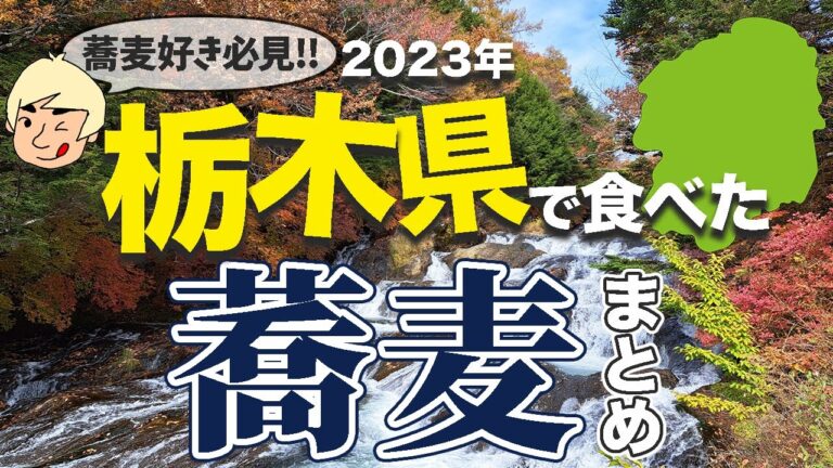 【蕎麦好き必見！】栃木県で食べたうみゃーな蕎麦まとめ(2023年)【栃木グルメ】