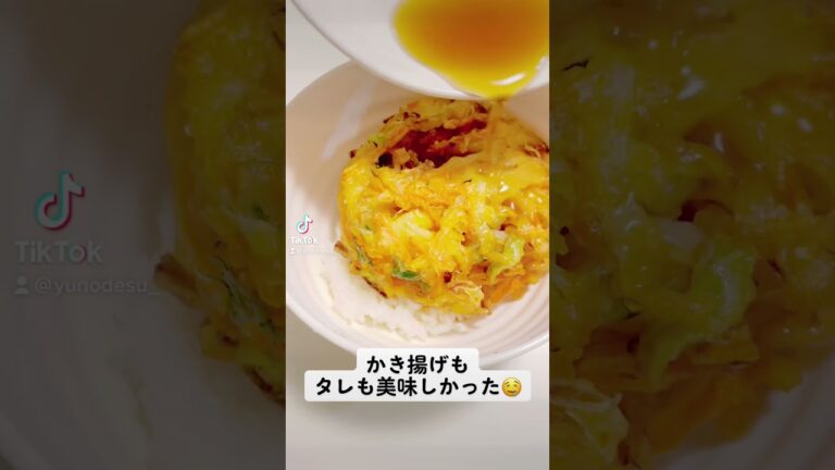 『かき揚げ丼』サクサク派？やわらか派？