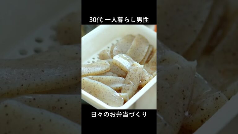 春キャベツと煮物の弁当