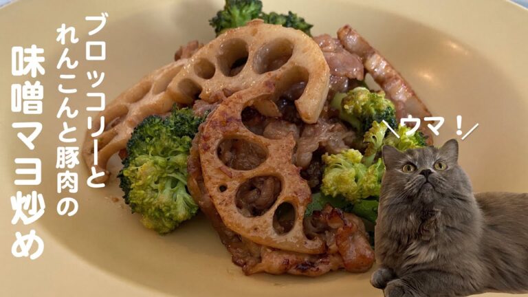 ブロッコリーとれんこんと豚肉の味噌マヨ炒めwith cats