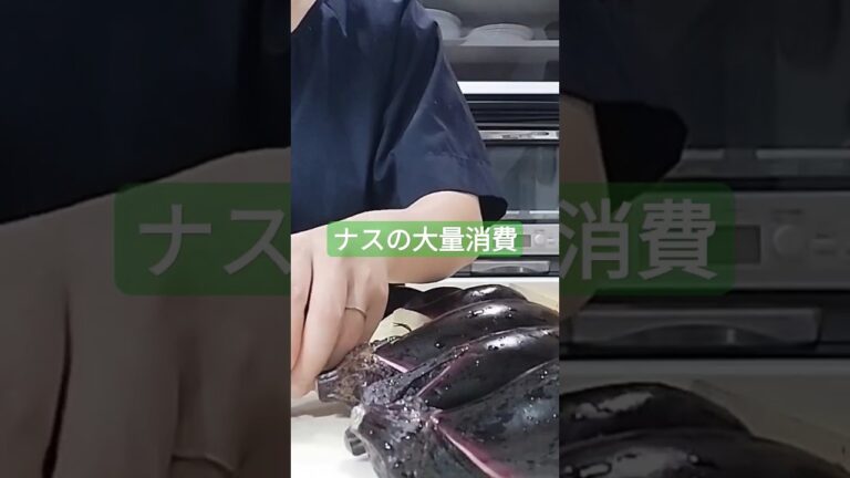 簡単レシピ♪ナスの大量消費【その名も！ナスのタタキ】旦那様大絶賛
