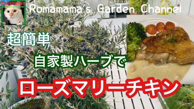 【ローズマリー】超簡単なハーブを使ったローズマリーチキンの作り方　＃ハーブ　#家庭菜園
