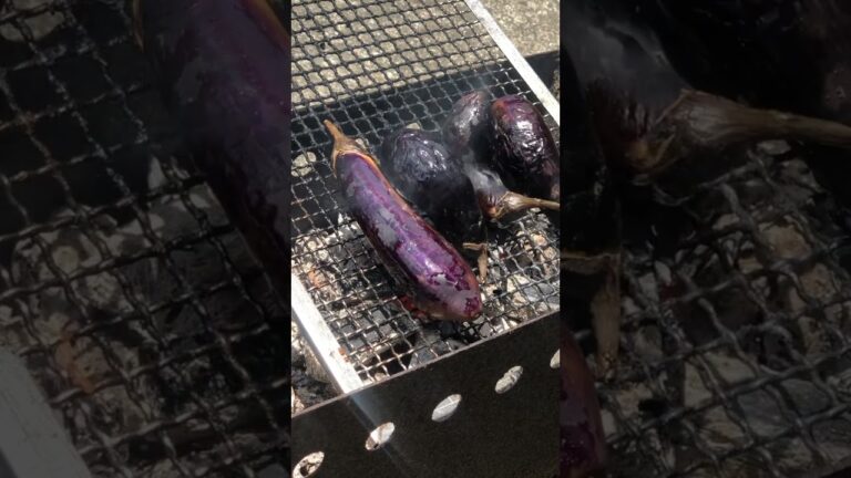 家庭菜園の不揃いナスを炭火で焼きナスやってみた！