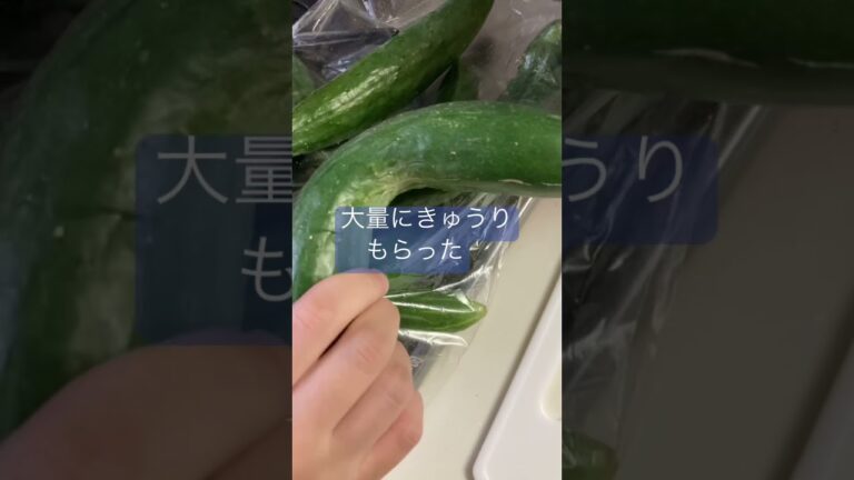 【キューちゃん】夏の終わりにキューちゃん漬け　#主婦 #shorts #キューちゃん#きゅうり #大量消費
