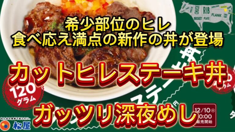 【松屋】カットヒレステーキ　期間限定　新作メニュー　ガッツリ深夜めし