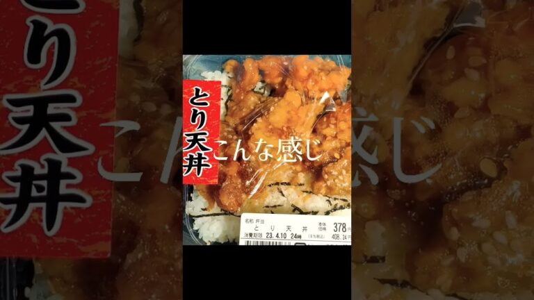 今日のセイコーマート #セイコーマート #天丼 #車中飯