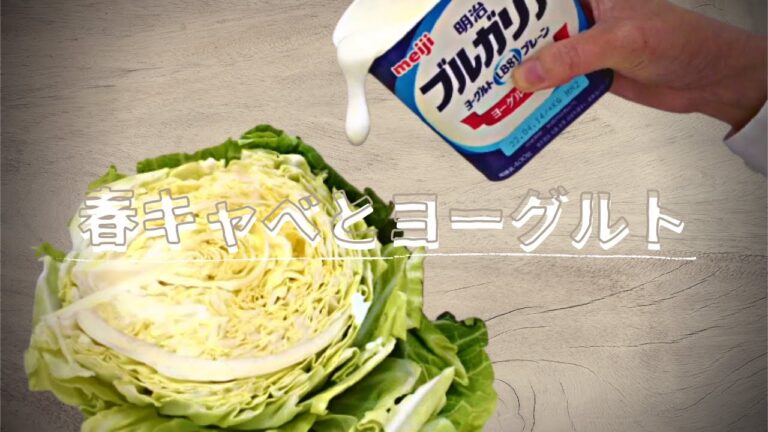 【春キャベツのヨーグルトクリーミードレッシング 】切って混ぜるだけ、塩揉みいらず。旬の春キャベツをヨーグルトドレッシングで味わう