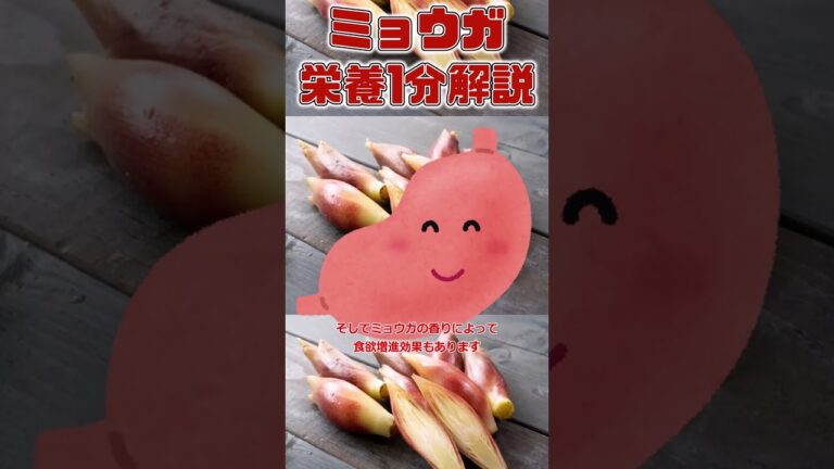 【ゆっくり解説】忙しい人のための『ミョウガ』の栄養を1分で解説 #shorts