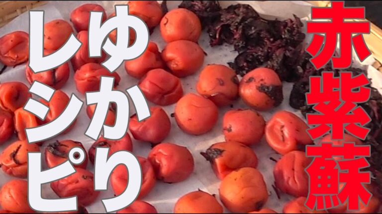 緑の粉で簡単！赤紫蘇でゆかりちゃん作る方法！簡単レシピ！