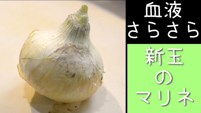 血液サラサラ!新玉のマリネ の作り方【あんしんごはん料理ch】Shorts