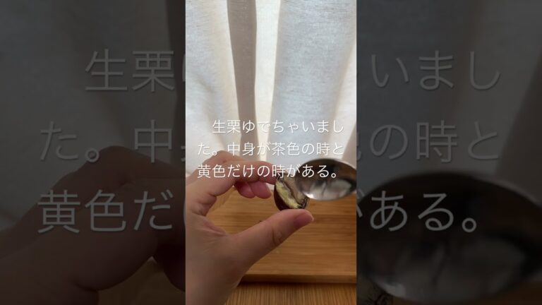 秋ですね。栗、モンブラン好き。栗剥き器も持ってる。今回は包丁で真っ二つに。