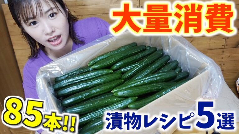 【大量きゅうり】全部お漬物にして夏を乗り切る✨🎐【レシピ５選】