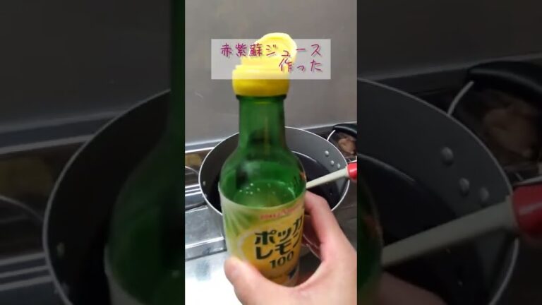 赤紫蘇ジュースの色の変化見て