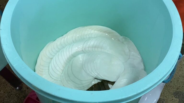 千枚漬本漬工程