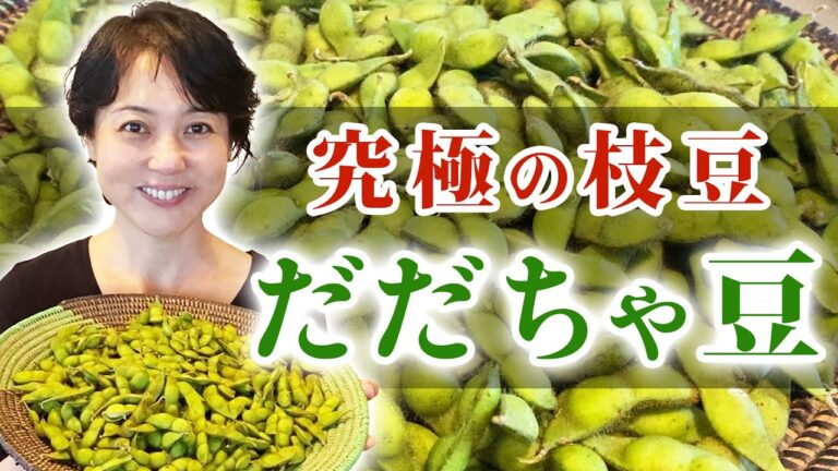 【重大告知あり！！】枝豆の王様、自然農法で育った最高級の白山だだちゃ豆を食べよう！【美味しい茹で方】