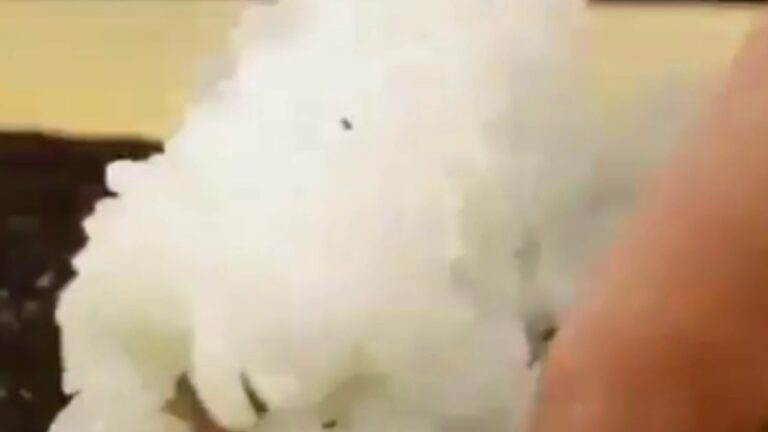 【グルメ】子供に作ってあげたら絶対喜ぶ手巻き寿司！
