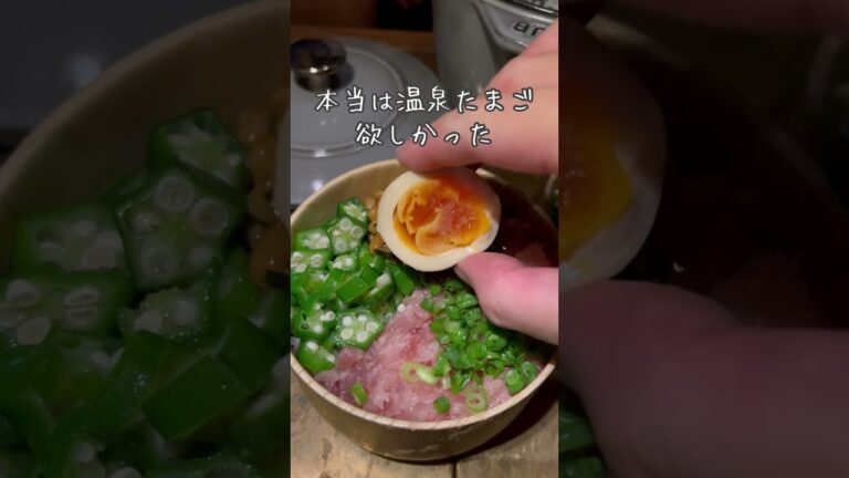 本当はメカブも乗っけたかった我が家のネバネバ丼！