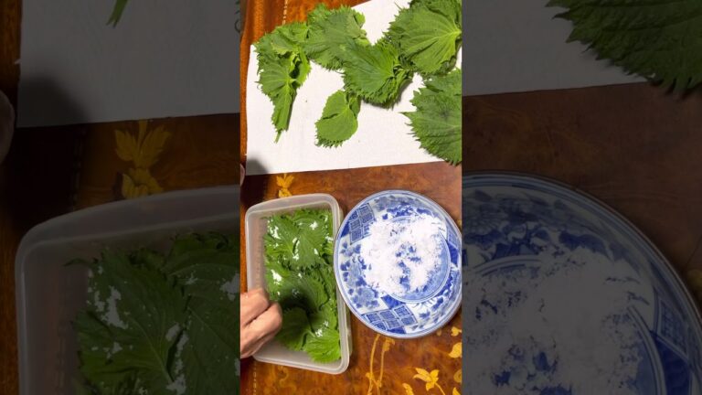 紫蘇の葉の塩漬けはいかがでしょうか