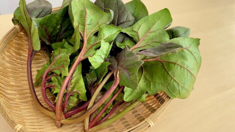 赤軸ほうれん草〈野菜の食べ方＆調理方法〉by食育マルシェおうち便