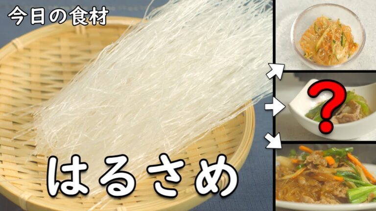 もう1品に迷ったら つるつる美味しい 春雨 に決まり！ ｜春雨 レシピ 3選｜