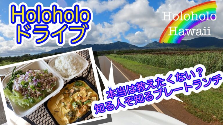 本当は教えたくない⁉︎知る人ぞ知るタイ料理プレートランチをご紹介！