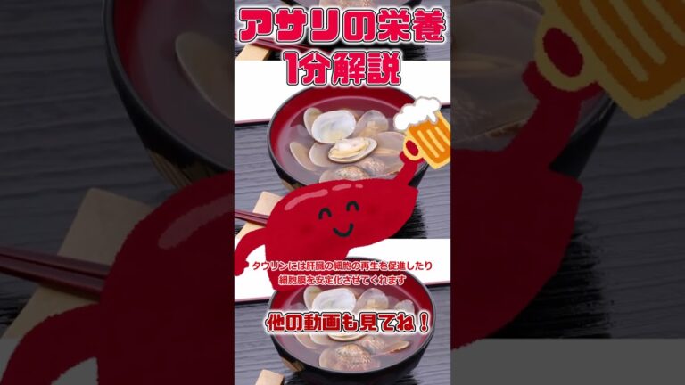 【ゆっくり解説】アサリの栄養を1分で解説 #shorts