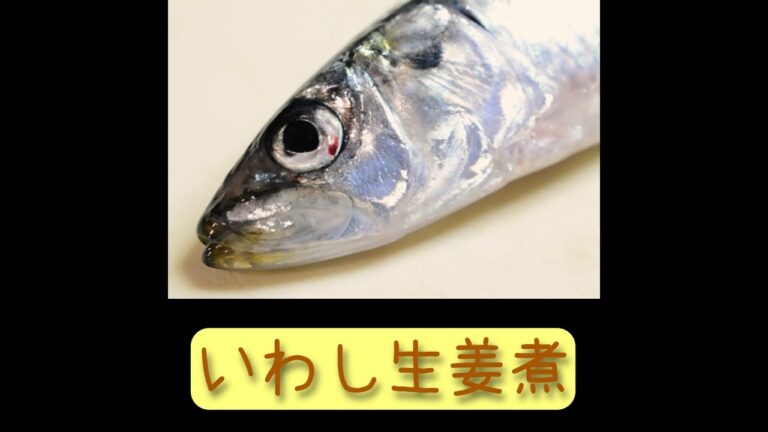いわし生姜煮【あんしんごはん料理ch】#Shorts