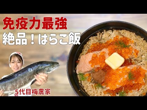 【炊飯だけ！】10分調理で家族が絶賛はらこ飯