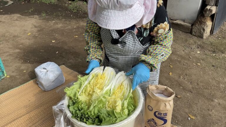 みつえばあちゃん自家製　白菜の漬け物の作り方　21/11/19