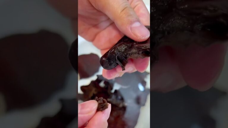 豚バラときくらげの卵炒め #簡単レシピ