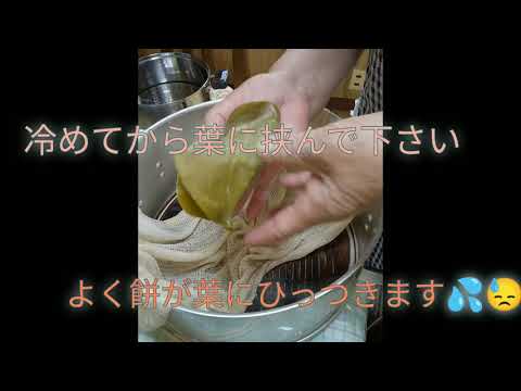山帰来の葉でかしわ餅作り
