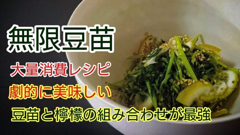 無限豆苗・切って、チンして、混ぜるだけでこのクオリティ最高【豆苗レモンサラダ】（＃豆苗レシピ　＃レモンレシピ　＃無限豆苗　）
